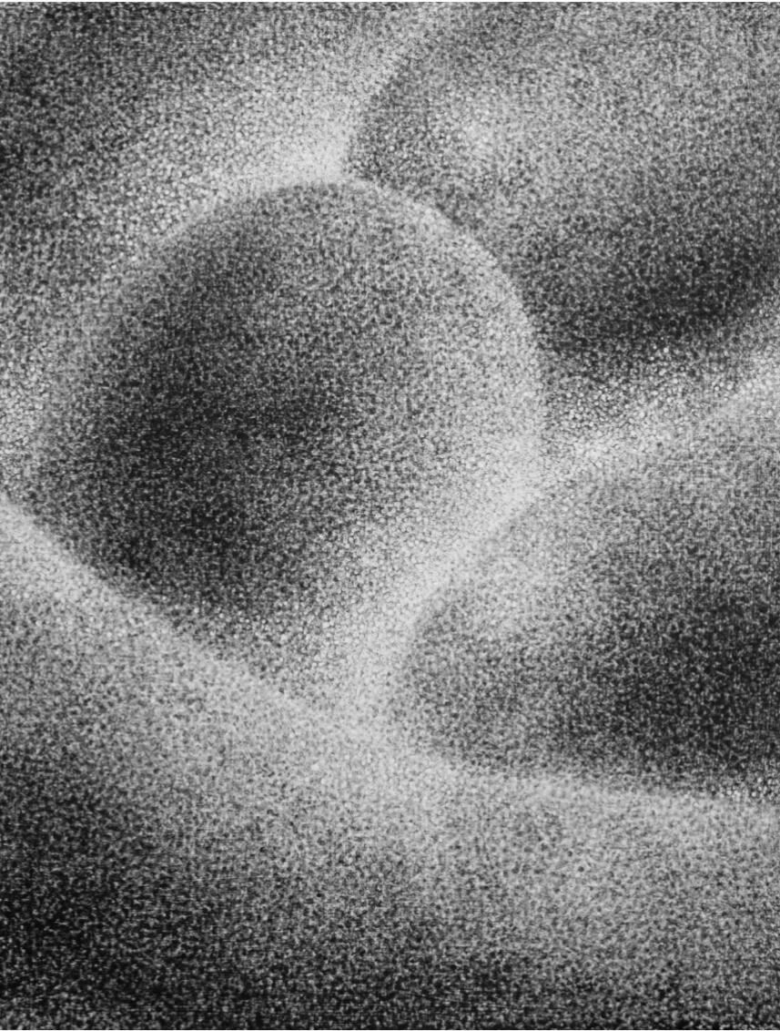 &quot;See You Later 3&quot; 2024 Charcoal &amp; oil on canvas 16&quot; x 20&quot;