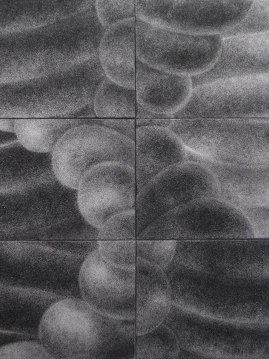 "Dual Paths" 2024 Graphite & oil on canvas 48" x 60"