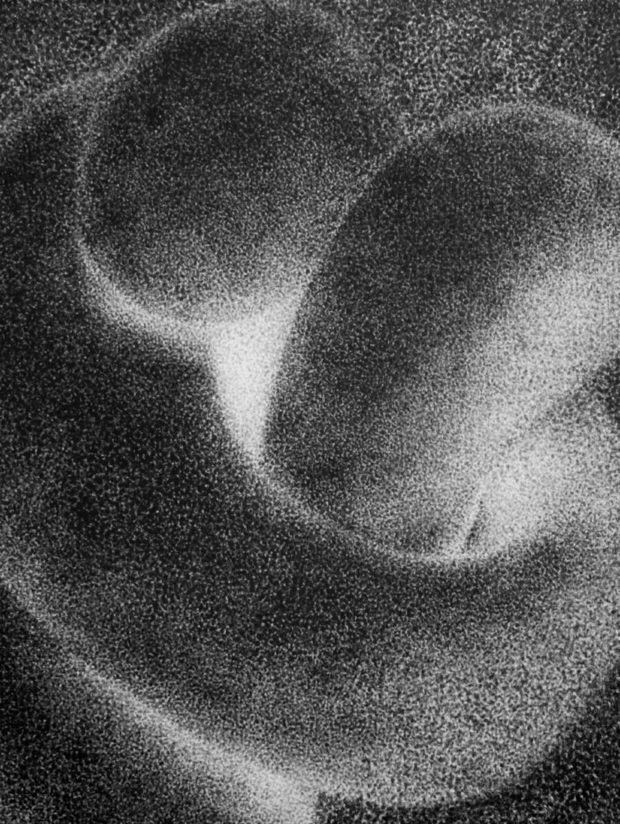 "See You Later 2" 2024 Charcoal & oil on canvas 16" x 20"